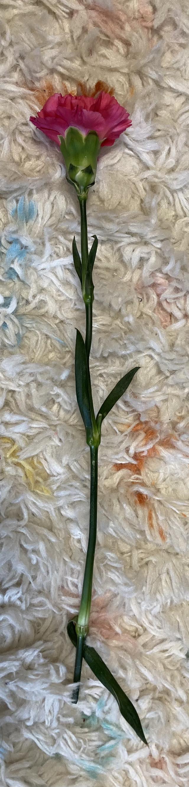 This is a unique piece of artwork, showcasing a unique&nbsp;sketch.